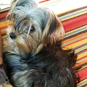 Meet your Posher, Jeffrey